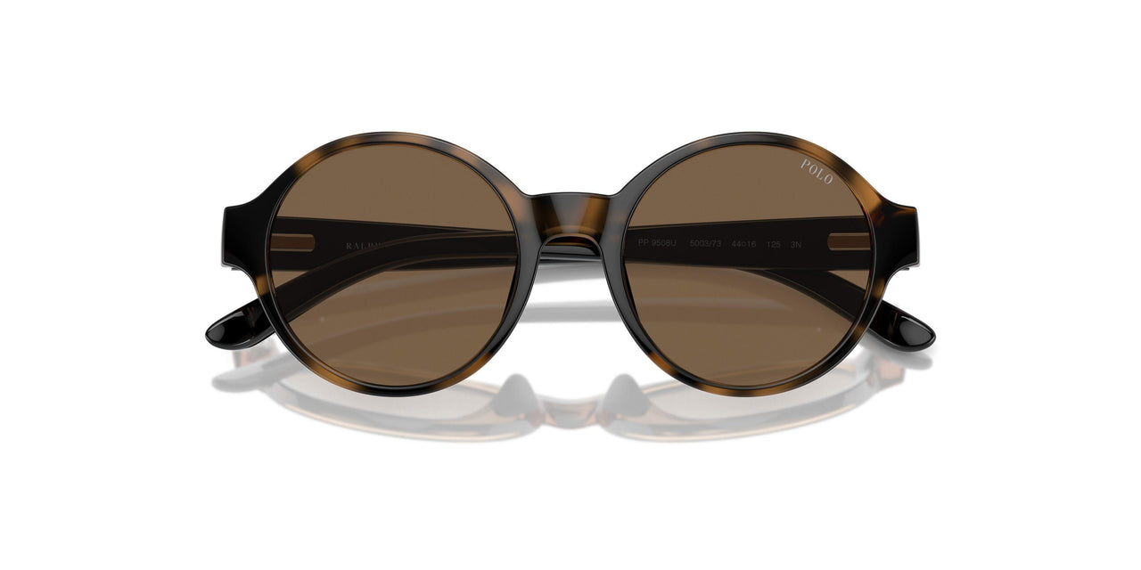 500373 - Brown - Brown