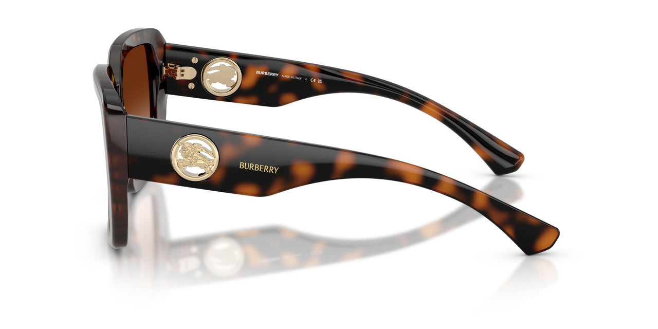 300274 - Brown - Brown Gradient