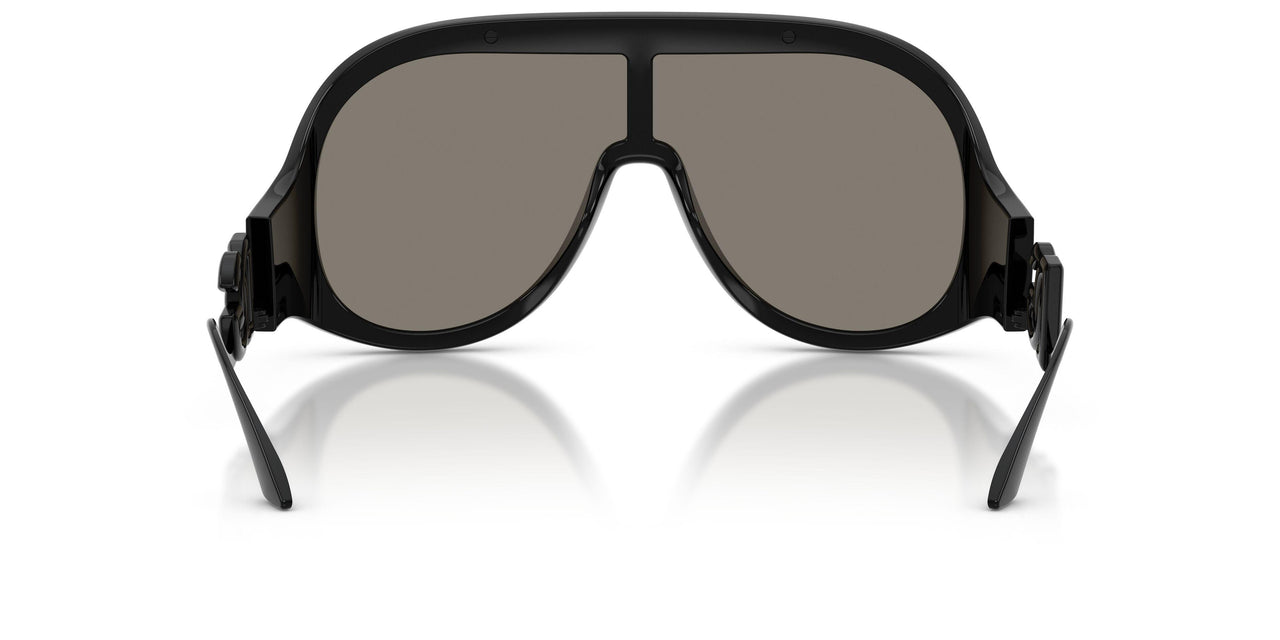 501/6G - Black - Light Grey Mirror Silver