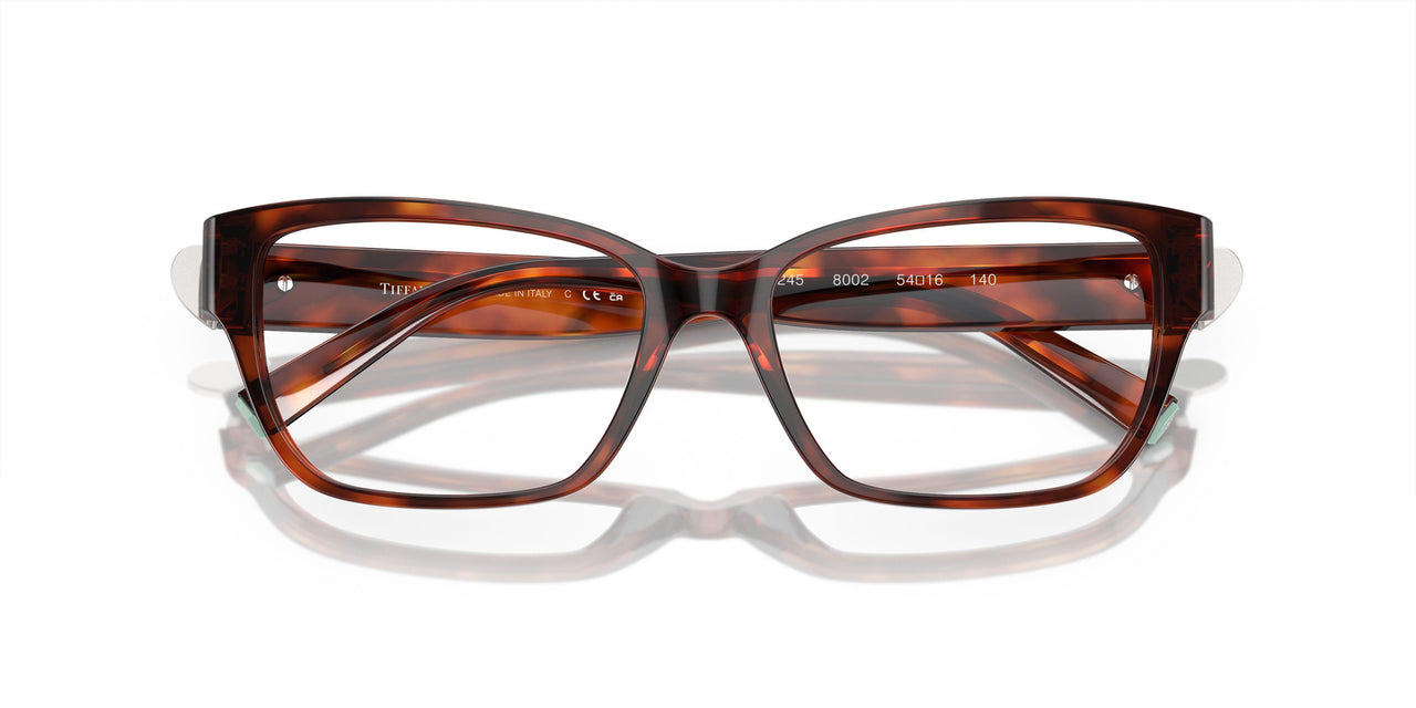 8002 - Tortoise