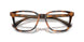 6161 - Tortoise