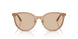 507693 - Brown - Light Brown