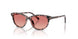 3476A5 - Tortoise - Pink Gradient Red