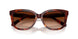 593874 - Tortoise - Brown Gradient