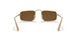 919657 - Gold - Polar Brown