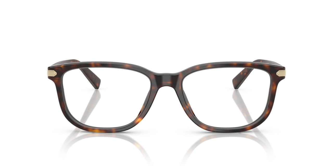 5893 - Tortoise