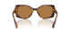 104073 - Tortoise - Bronze