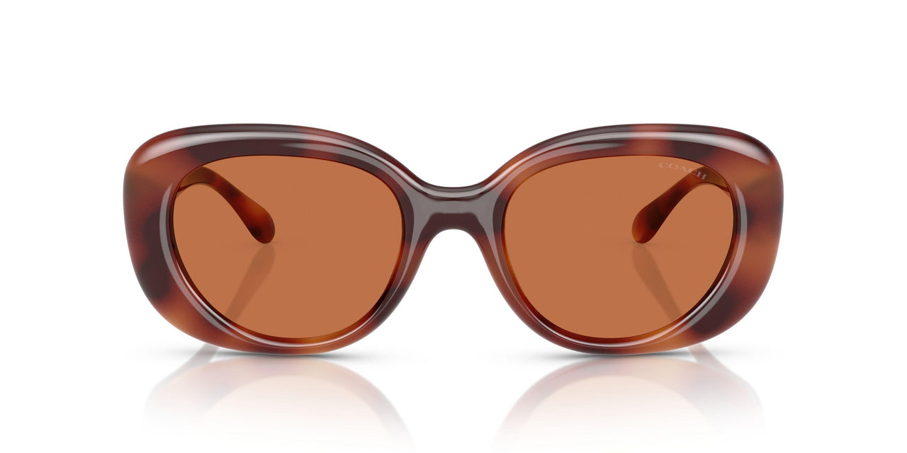 577473 - Tortoise - Brown Solid