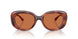 577473 - Tortoise - Brown Solid
