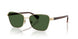 949071 - Gold - Dark Green