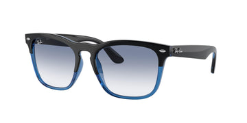 Ray-Ban Steve 4487 Sunglasses
