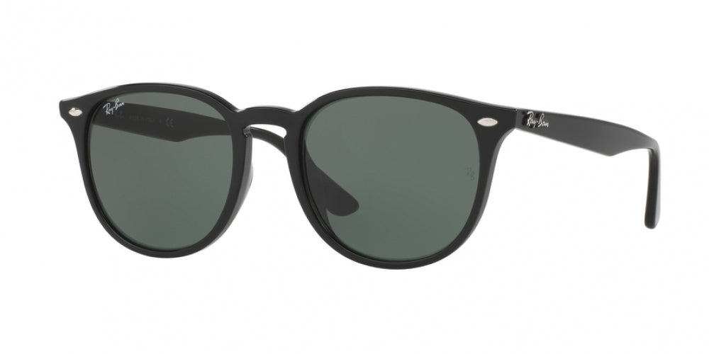 Ray-Ban 4259F Sunglasses