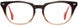 STATE Optical Co. MORGAN Eyeglasses