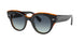 Ray-Ban Roundabout 2192F Sunglasses