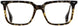 STATE Optical Co. CICERO Eyeglasses