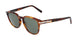 Salvatore Ferragamo SF993S Sunglasses