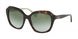 Ralph 5255 Sunglasses