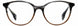 STATE Optical Co. WELLS Eyeglasses