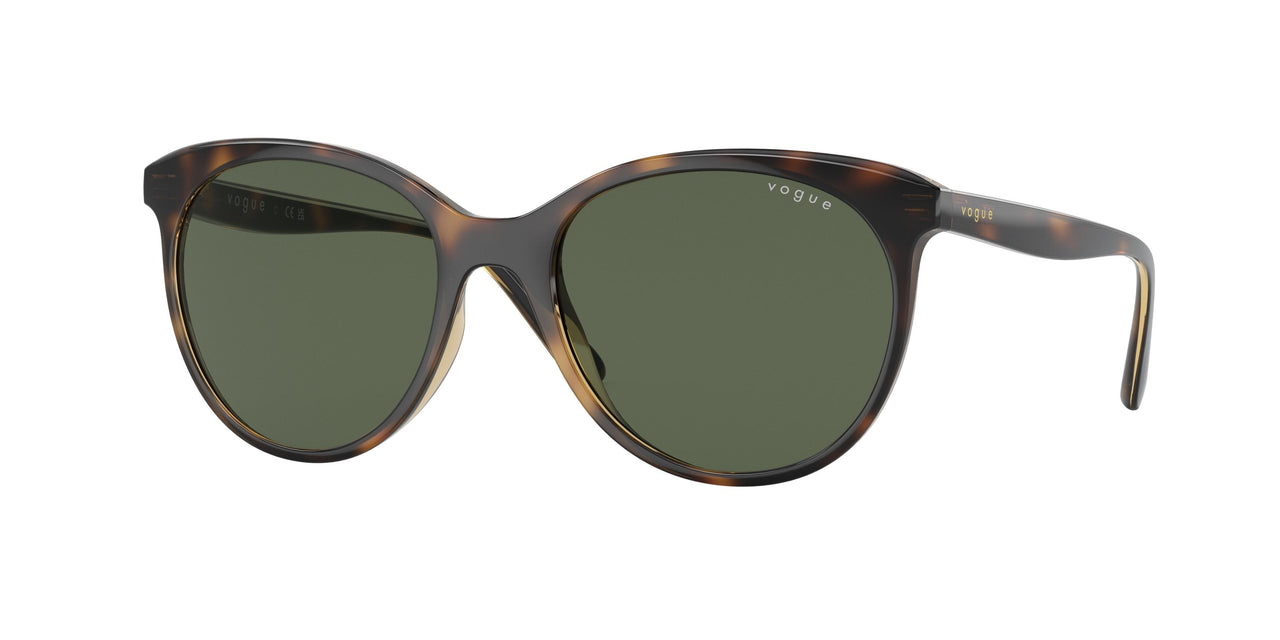 Vogue Eyewear 5453S Sunglasses