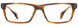 STATE Optical Co. OGDEN Eyeglasses