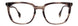 STATE Optical Co. MAXWELL Eyeglasses