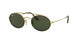 Ray-Ban 3847N Sunglasses