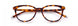 Paradigm 21-07 Eyeglasses