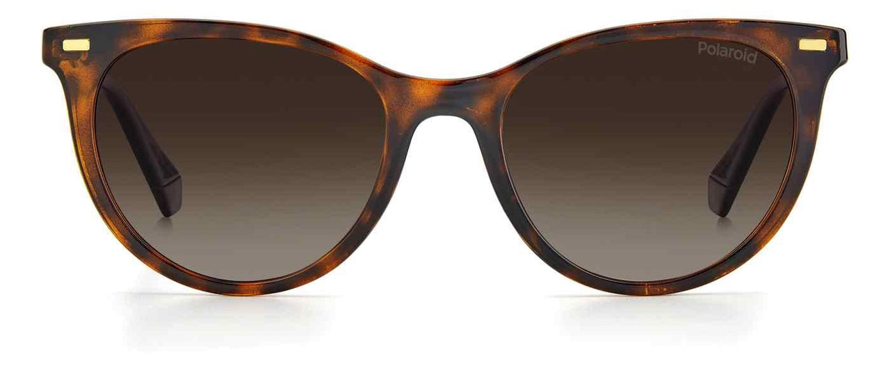 0086-LA - Dark Havana - Brown Gradient Polz