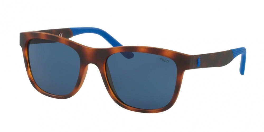 Polo 4120 Sunglasses