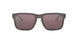 Oakley Holbrook 9102 Sunglasses