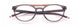 Paradigm 20-06 Eyeglasses