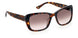 0086-HA - Dark Havana - Brown Gradient