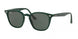 Ray-Ban 4258 Sunglasses