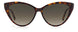 0086-HA - Havana - Brown Gradient