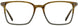 Michael Ryen MR336 Eyeglasses