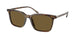 Polo 4194U Sunglasses