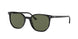 Ray-Ban Elliot 2197F Sunglasses