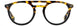 STATE Optical Co. WEBSTER Eyeglasses