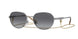 Vogue Eyewear 4254S Sunglasses