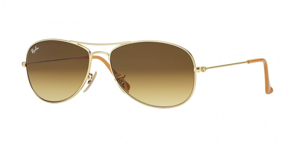 Ray-Ban Cockpit 3362 Sunglasses