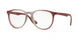 Ray-Ban Erika 7046 Eyeglasses