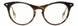 STATE Optical Co. AUGUSTA Eyeglasses