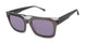 Ted Baker TMS091 Sunglasses