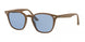 Ray-Ban 4258 Sunglasses