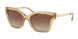 Michael Kors Barbados 2072 Sunglasses