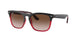 Ray-Ban Steve 4487F Sunglasses