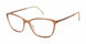 Stepper STE-30162 Eyeglasses