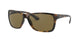 Ray-Ban 4331 Sunglasses