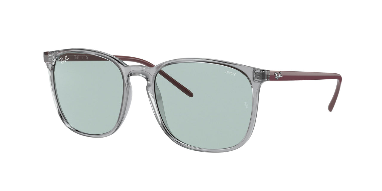 Ray-Ban 4387F Sunglasses