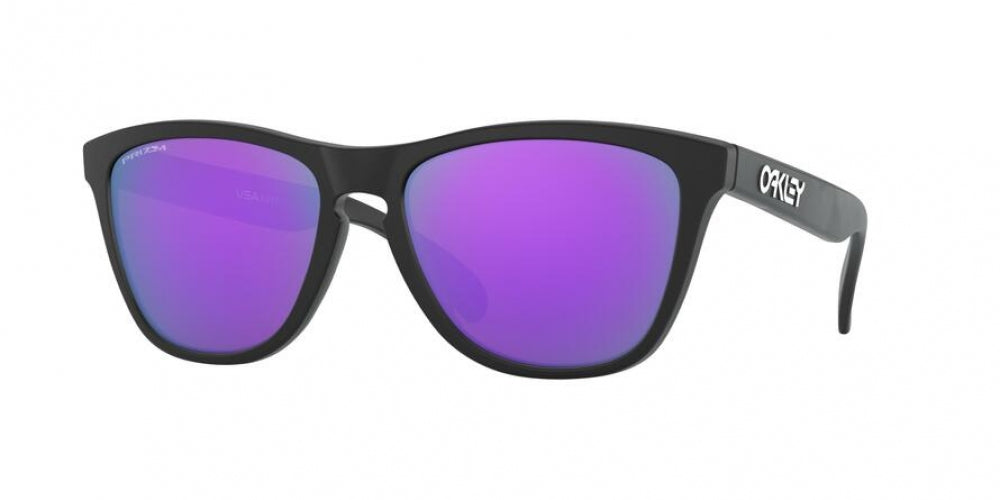 Oakley Frogskins 9013 Sunglasses